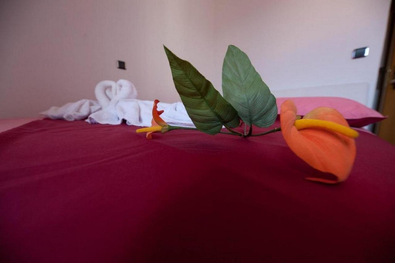Rooms Aladino Trogir Kültér fotó